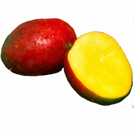 Mango Kent Marítimo